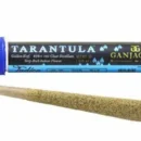 Ganja Gold/Blue Tarantula