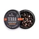 Terra Dark Chocolate Espresso Beans
