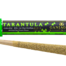 Ganja Gold/Green Tarantula